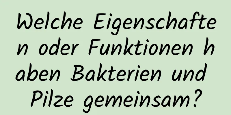 Welche Eigenschaften oder Funktionen haben Bakterien und Pilze gemeinsam?