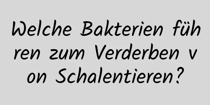 Welche Bakterien führen zum Verderben von Schalentieren?