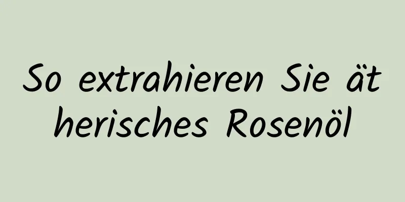So extrahieren Sie ätherisches Rosenöl