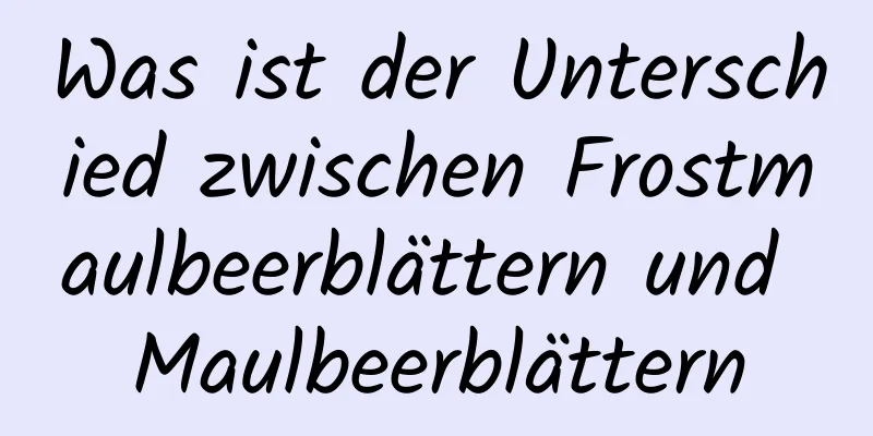 Was ist der Unterschied zwischen Frostmaulbeerblättern und Maulbeerblättern