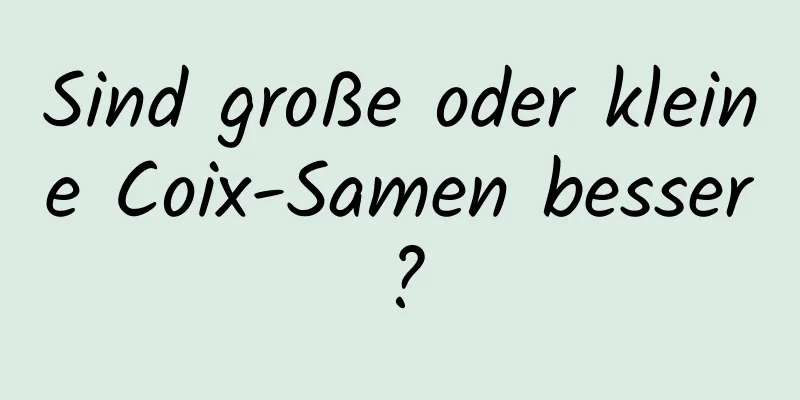 Sind große oder kleine Coix-Samen besser?