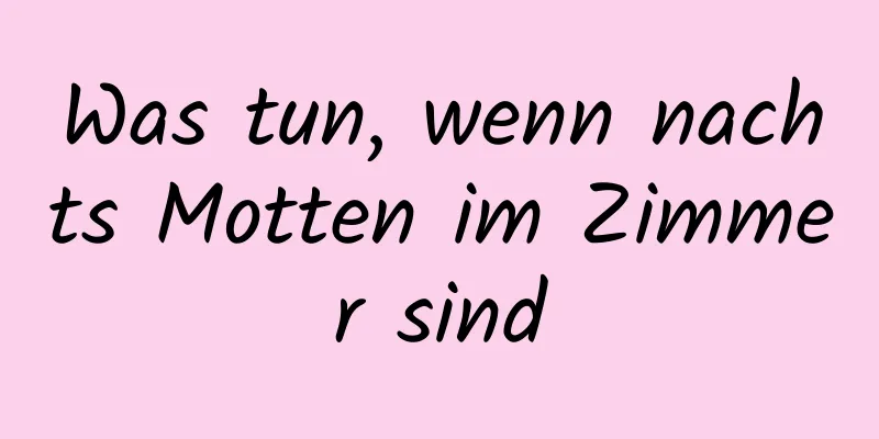 Was tun, wenn nachts Motten im Zimmer sind
