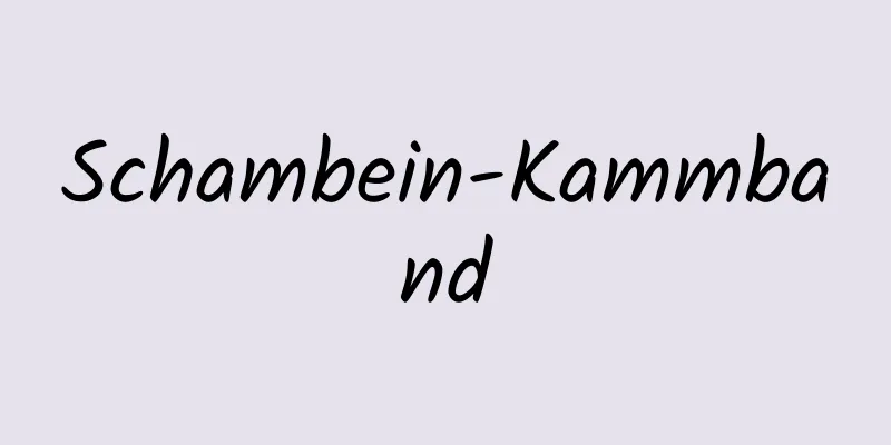 Schambein-Kammband