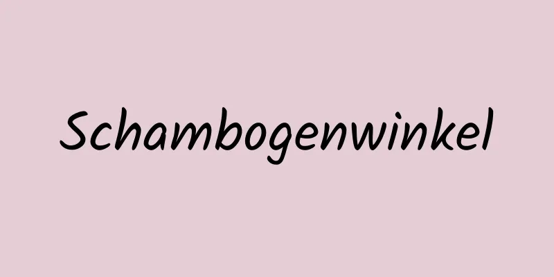 Schambogenwinkel