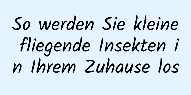 So werden Sie kleine fliegende Insekten in Ihrem Zuhause los
