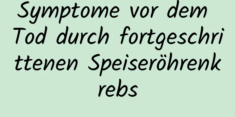 Symptome vor dem Tod durch fortgeschrittenen Speiseröhrenkrebs