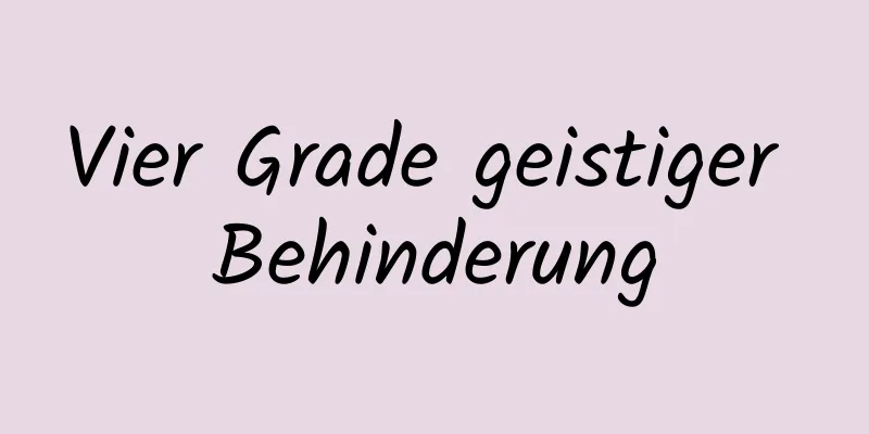 Vier Grade geistiger Behinderung