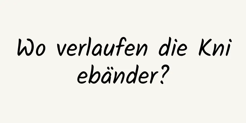 Wo verlaufen die Kniebänder?