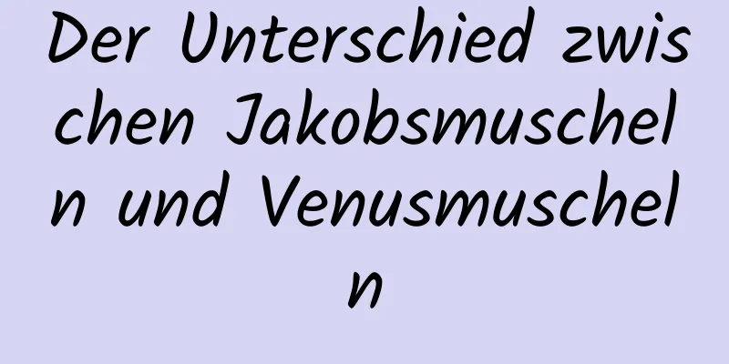 Der Unterschied zwischen Jakobsmuscheln und Venusmuscheln