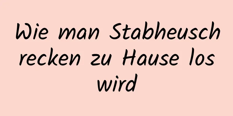 Wie man Stabheuschrecken zu Hause loswird