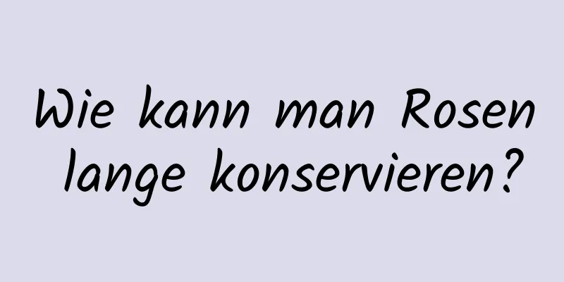 Wie kann man Rosen lange konservieren?