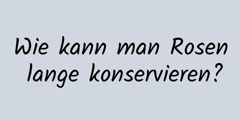Wie kann man Rosen lange konservieren?
