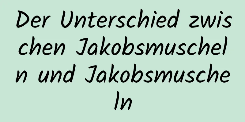 Der Unterschied zwischen Jakobsmuscheln und Jakobsmuscheln
