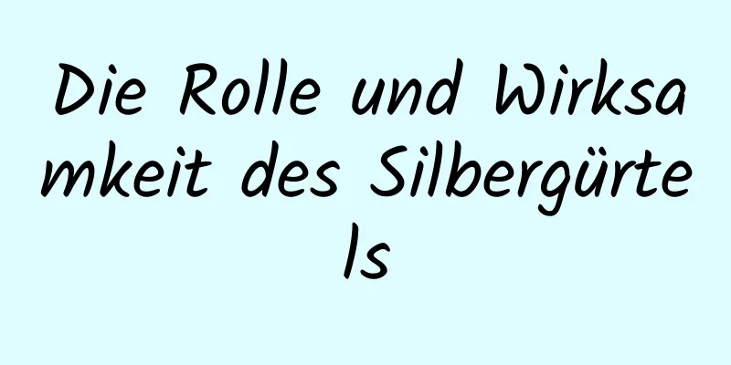 Die Rolle und Wirksamkeit des Silbergürtels