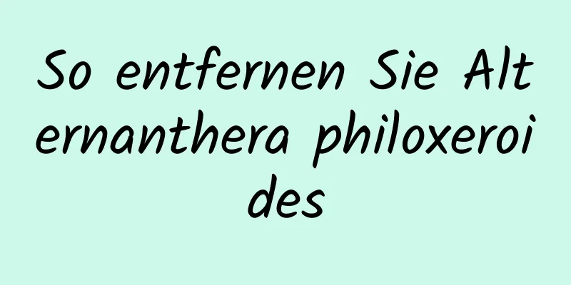 So entfernen Sie Alternanthera philoxeroides