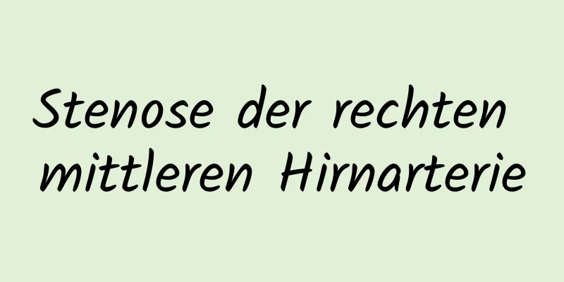 Stenose der rechten mittleren Hirnarterie