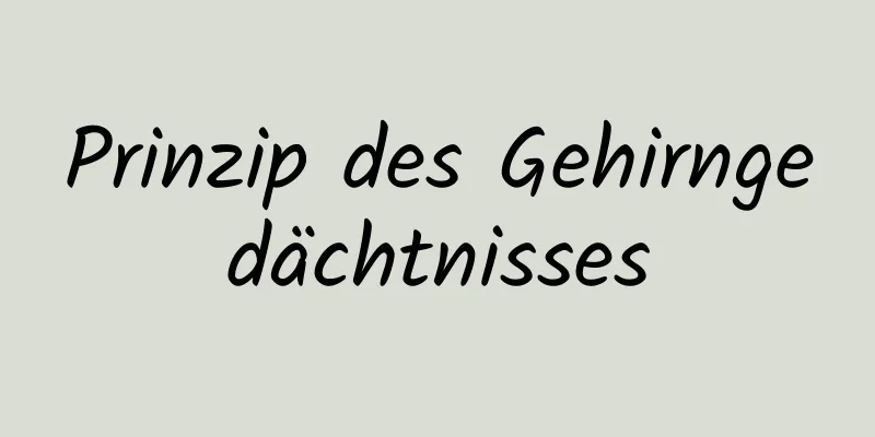 Prinzip des Gehirngedächtnisses
