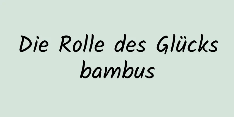 Die Rolle des Glücksbambus