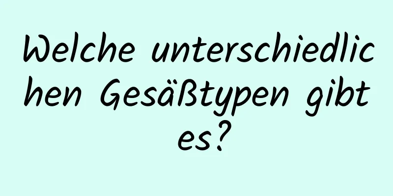 Welche unterschiedlichen Gesäßtypen gibt es?