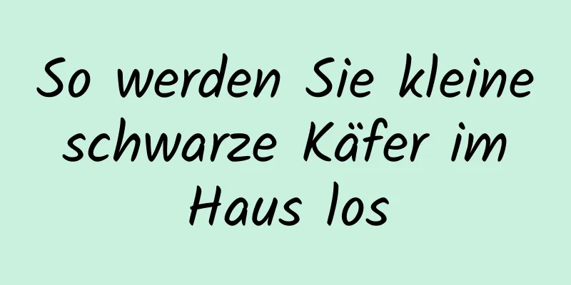 So werden Sie kleine schwarze Käfer im Haus los