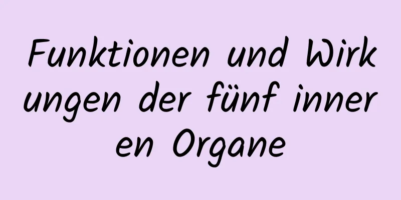 Funktionen und Wirkungen der fünf inneren Organe