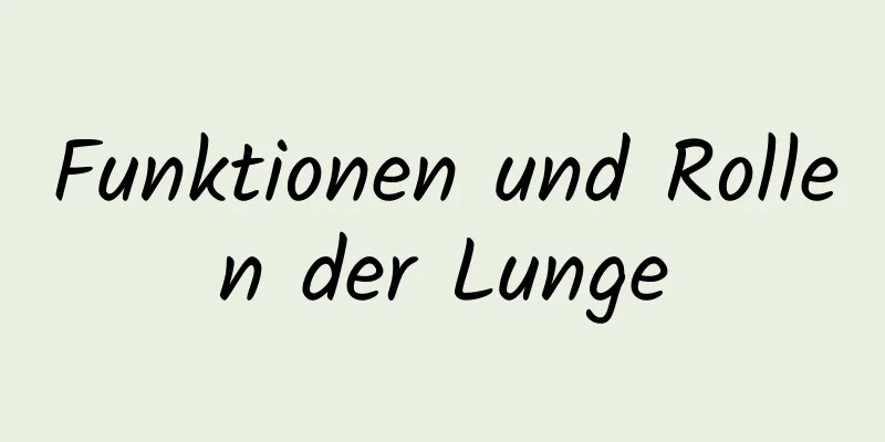 Funktionen und Rollen der Lunge