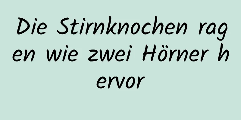 Die Stirnknochen ragen wie zwei Hörner hervor