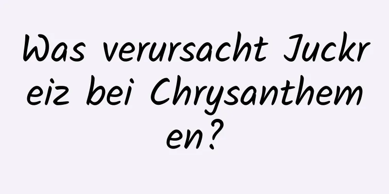 Was verursacht Juckreiz bei Chrysanthemen?