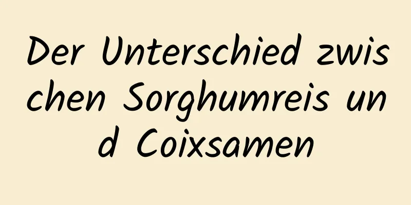 Der Unterschied zwischen Sorghumreis und Coixsamen