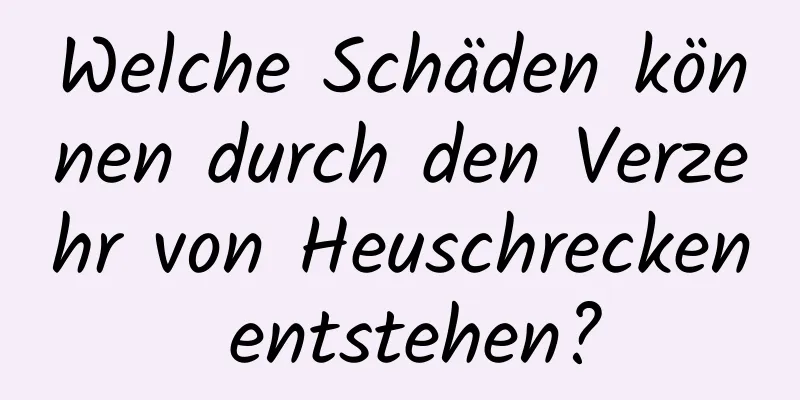 Welche Schäden können durch den Verzehr von Heuschrecken entstehen?