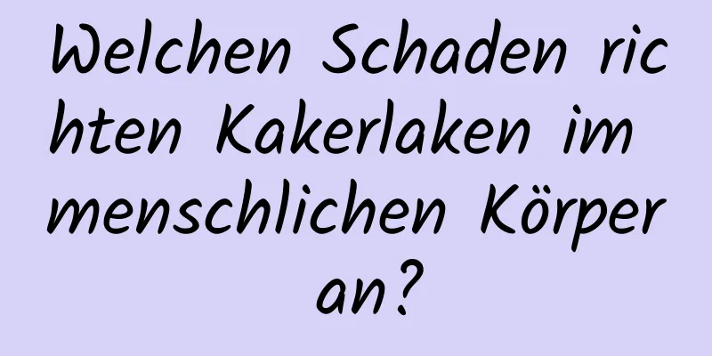 Welchen Schaden richten Kakerlaken im menschlichen Körper an?