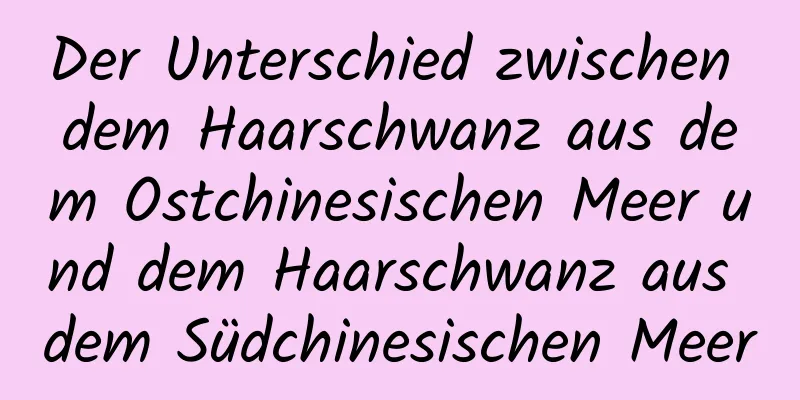 Der Unterschied zwischen dem Haarschwanz aus dem Ostchinesischen Meer und dem Haarschwanz aus dem Südchinesischen Meer