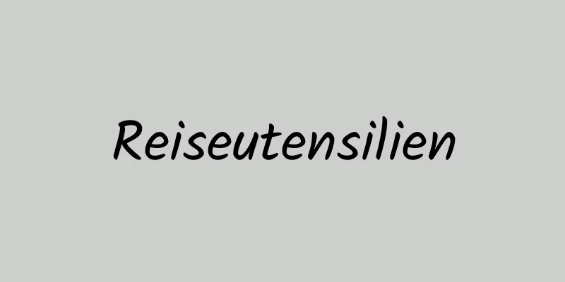 Reiseutensilien