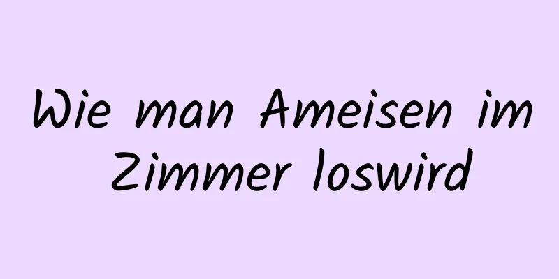 Wie man Ameisen im Zimmer loswird