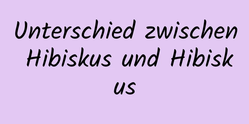 Unterschied zwischen Hibiskus und Hibiskus