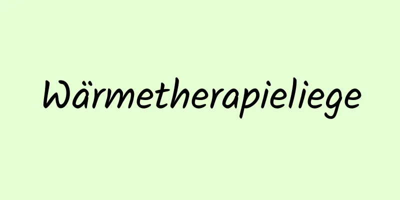 Wärmetherapieliege