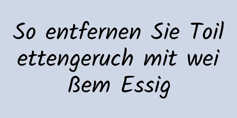 So entfernen Sie Toilettengeruch mit weißem Essig