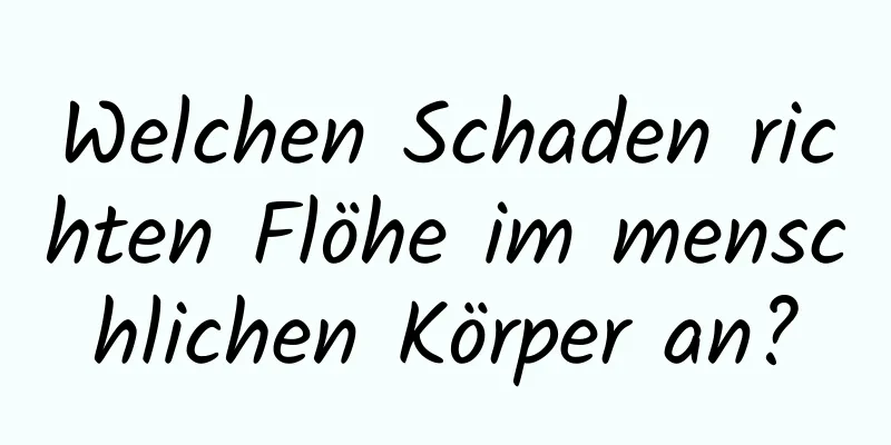 Welchen Schaden richten Flöhe im menschlichen Körper an?