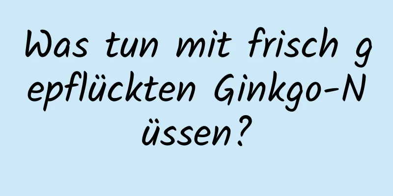 Was tun mit frisch gepflückten Ginkgo-Nüssen?