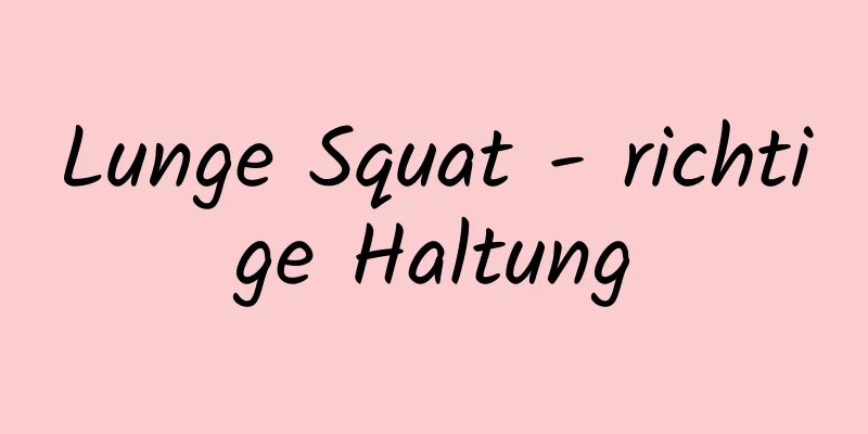 Lunge Squat - richtige Haltung
