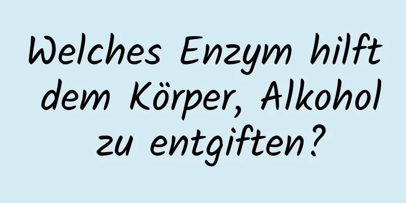 Welches Enzym hilft dem Körper, Alkohol zu entgiften?