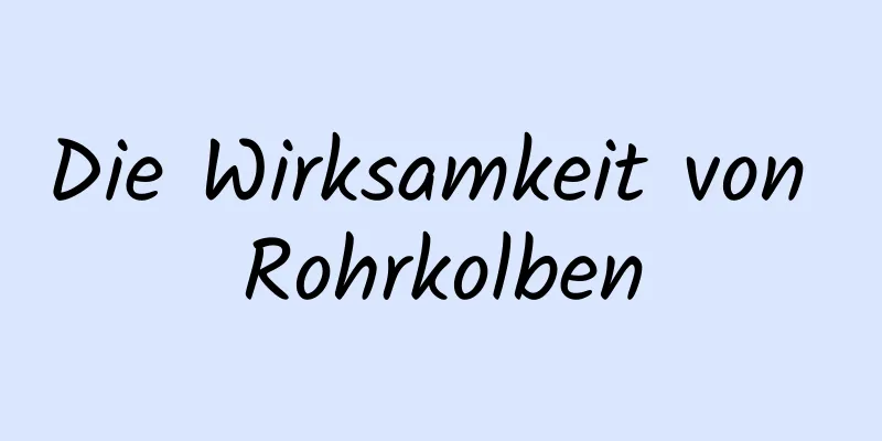 Die Wirksamkeit von Rohrkolben