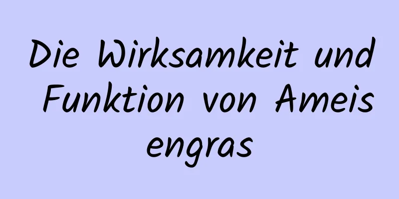 Die Wirksamkeit und Funktion von Ameisengras