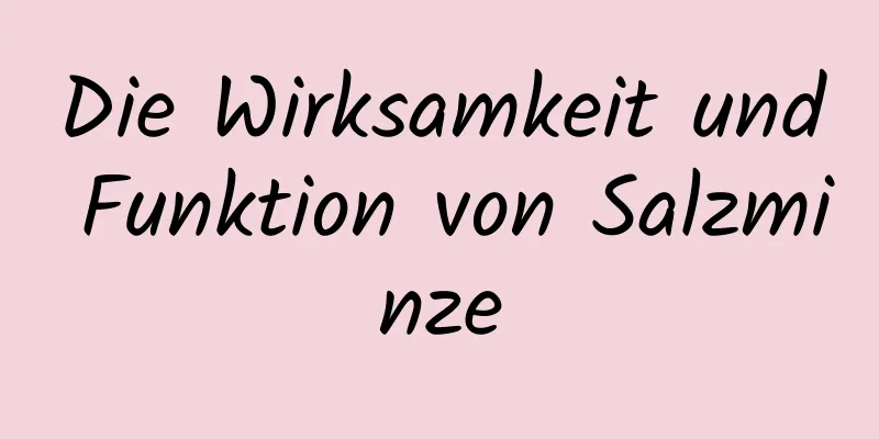 Die Wirksamkeit und Funktion von Salzminze