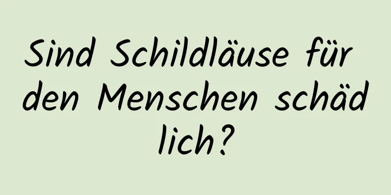 Sind Schildläuse für den Menschen schädlich?