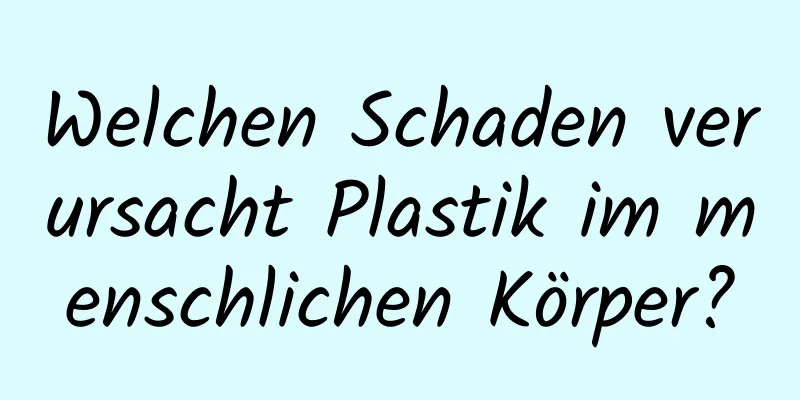 Welchen Schaden verursacht Plastik im menschlichen Körper?