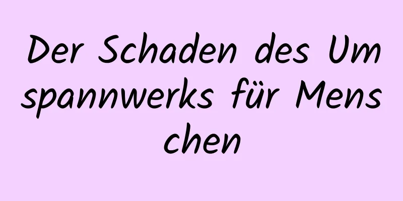 Der Schaden des Umspannwerks für Menschen