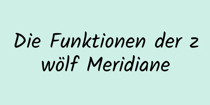 Die Funktionen der zwölf Meridiane