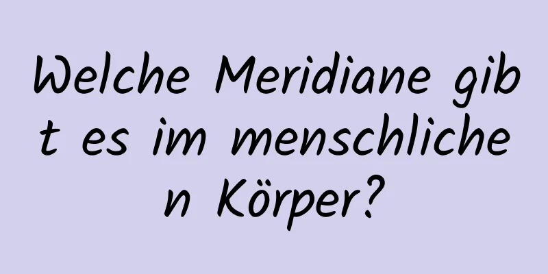Welche Meridiane gibt es im menschlichen Körper?