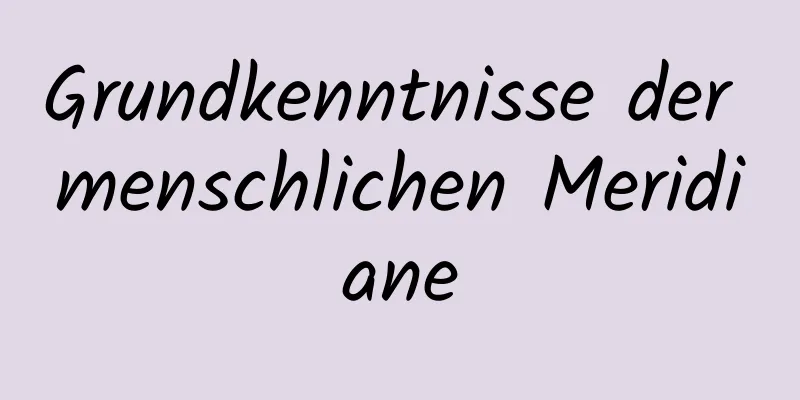 Grundkenntnisse der menschlichen Meridiane